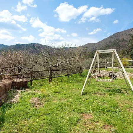 Appartement Il Filo Di Paglia *
