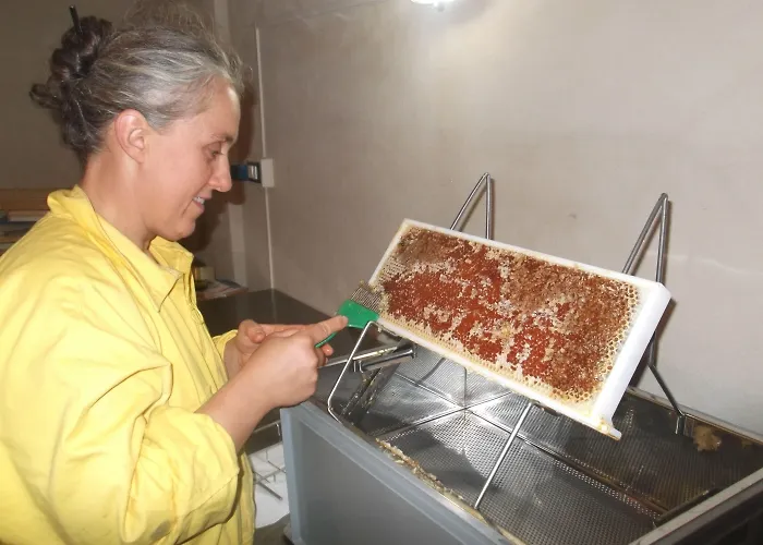 Appartamento Il Filo Di Paglia *